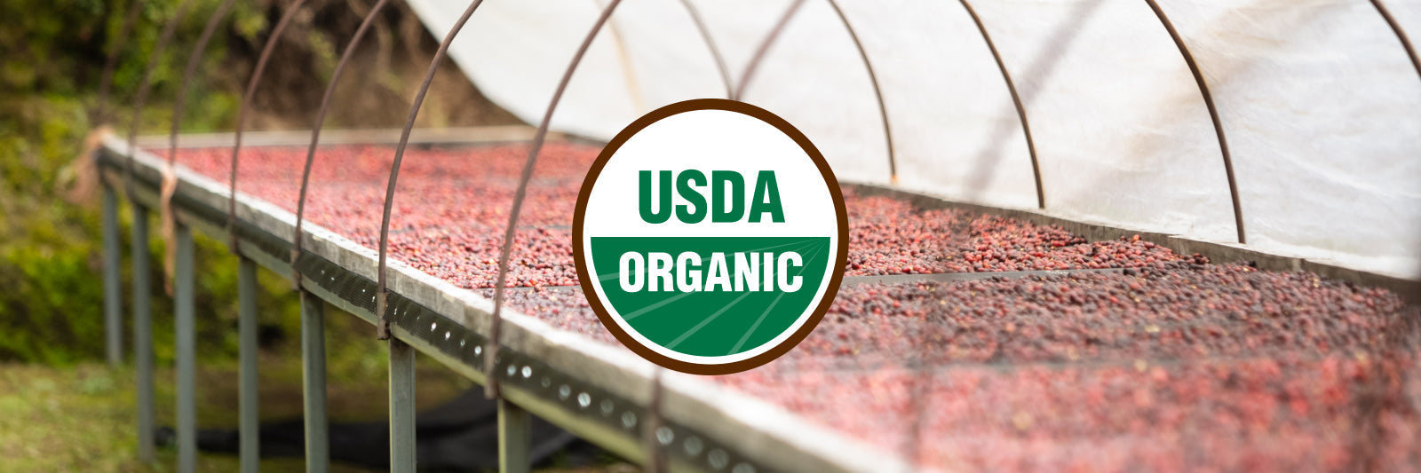 What is USDA Organic Coffee?