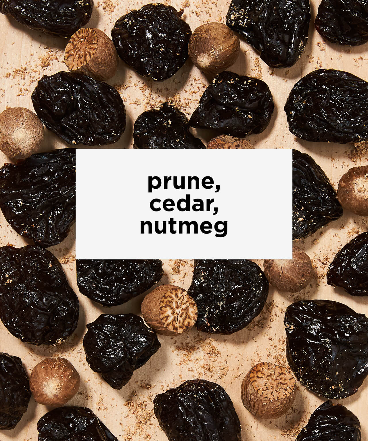Decaf Equator Blend | Chemical-Free Decaf | Tastes like prune, cedar, nutmeg | Equator Coffees