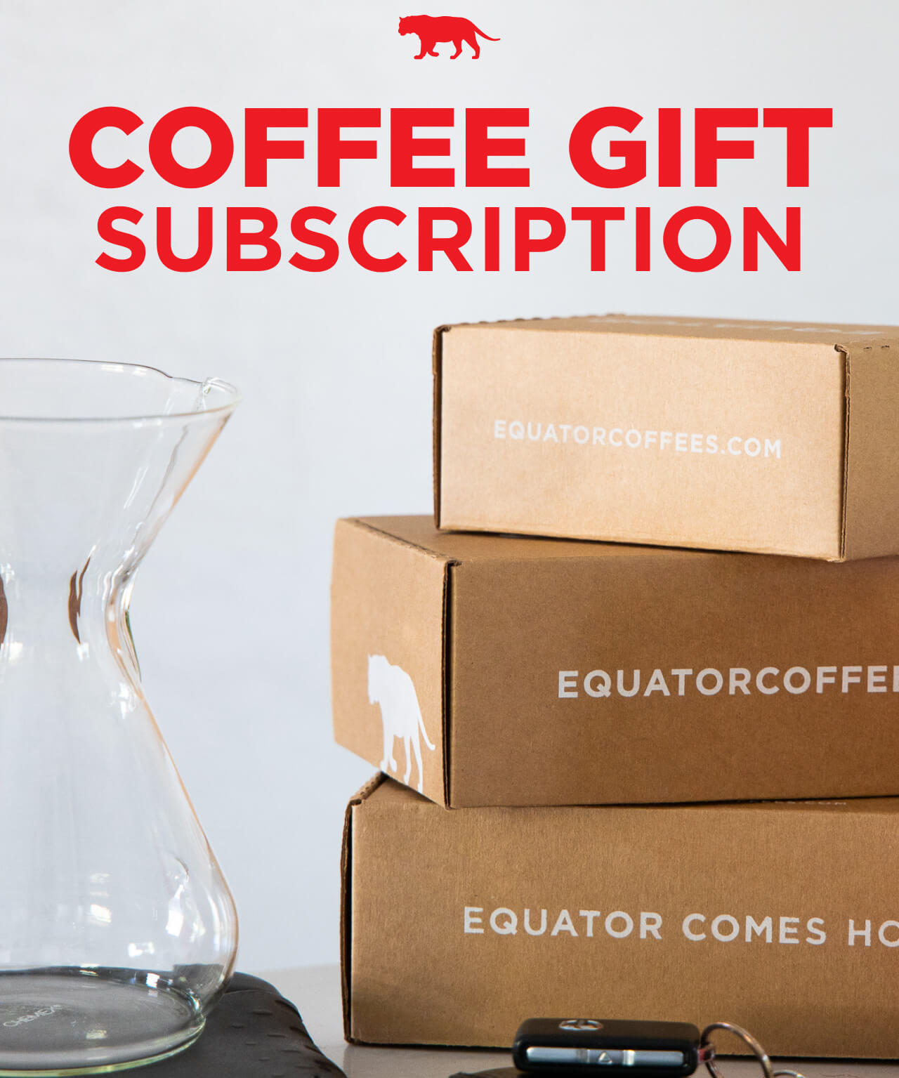 Gift a Coffee Subscription | Coffee Gift Subscription | Three Coffees for Three Months | Three Equator Coffees Boxes with Chemex | Equator Coffees