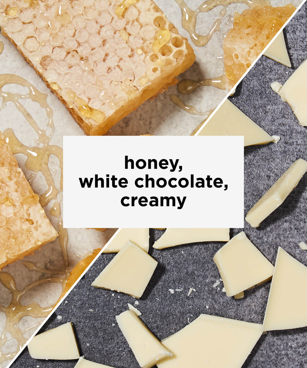 Hint of Milk & Sugar Organic Cold Brew | Tastes like creamy white chocolate and honey | Equator Coffees