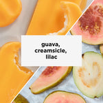 Peru Chirinos Gesha | Tastes like guava, creamsicle, lilac | Equator Coffees