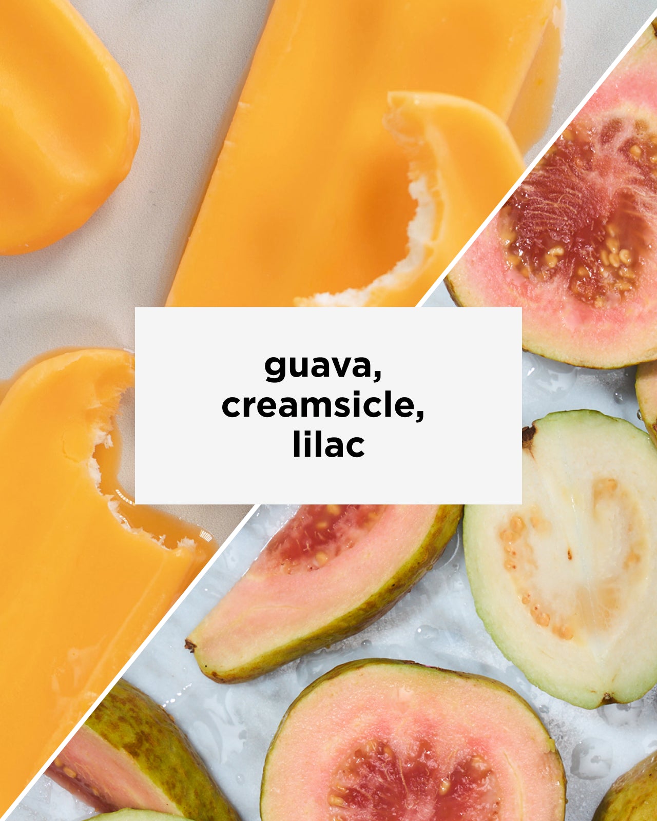 Peru Chirinos Gesha | Tastes like guava, creamsicle, lilac | Equator Coffees