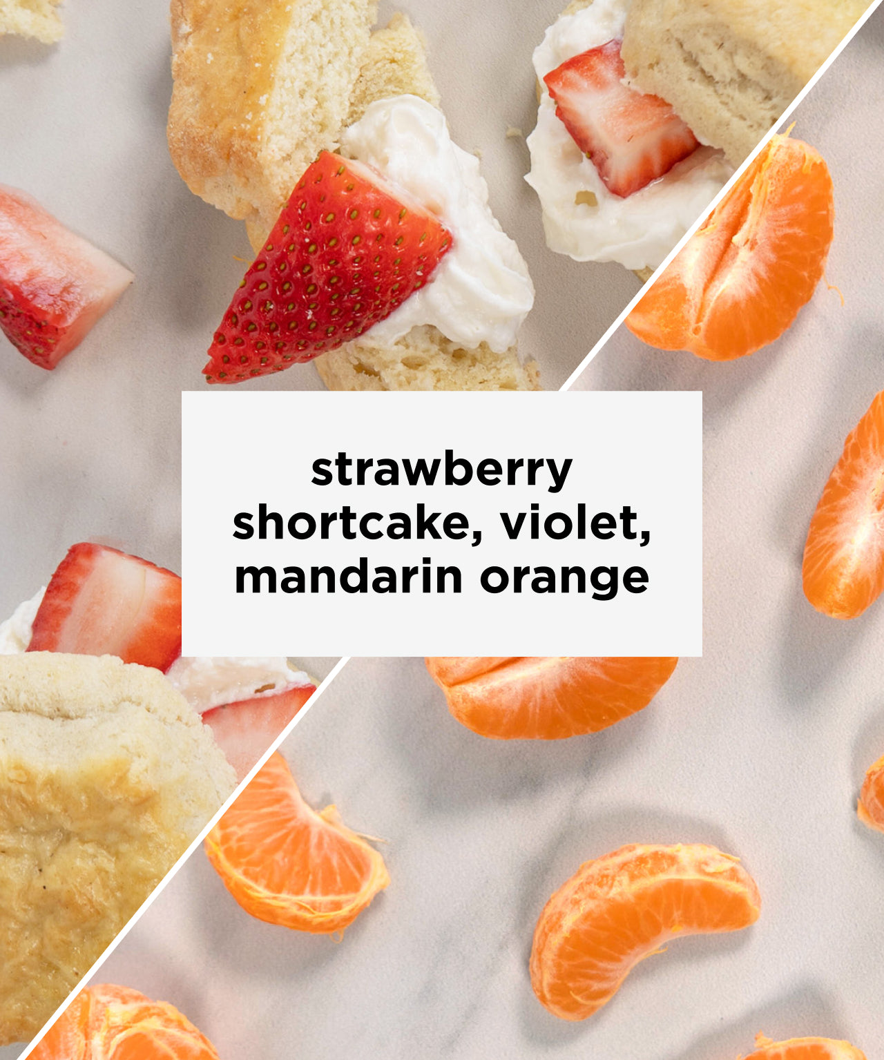 Super Bloom | Tastes like strawberry, shortcake, violet, mandarin orange | Equator Coffees