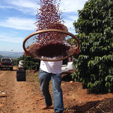 Dipsea Espresso | Marin Espresso | Mill Valley Espresso | Dipsea Trail | Capricornio Coffees Brazil | Equator Coffees