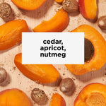Equator Blend | Our Namesake Blend | Tastes like cedar, apricot, nutmeg | Equator Coffees