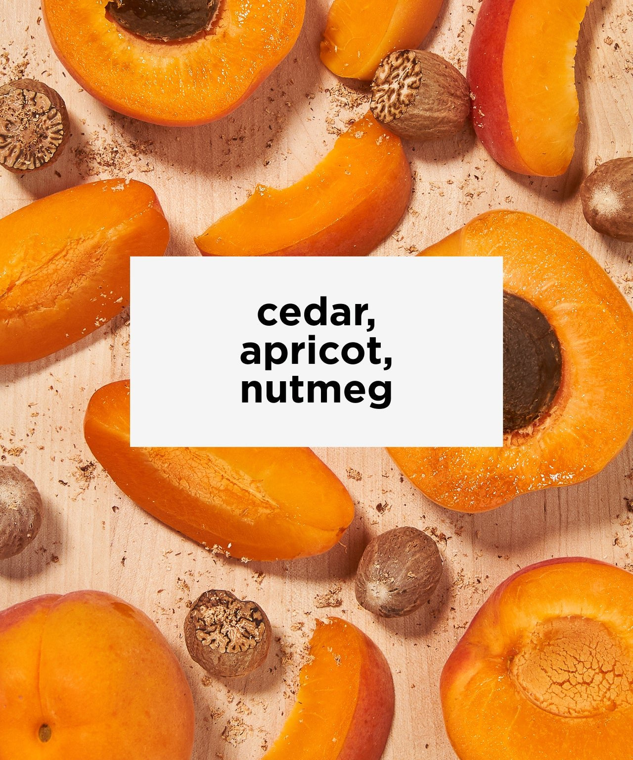 Equator Blend | Our Namesake Blend | Tastes like cedar, apricot, nutmeg | Equator Coffees