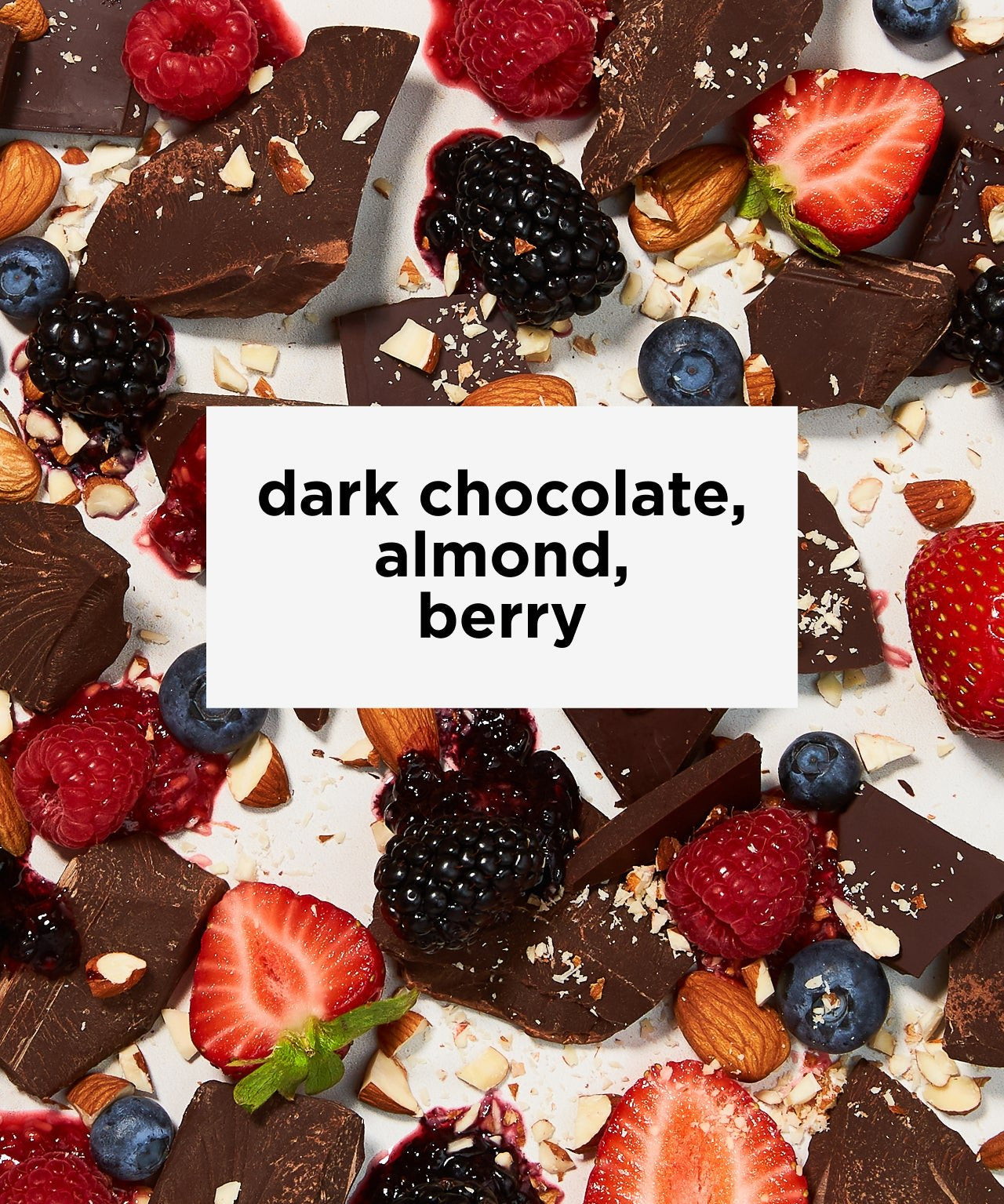 Mocha Java Blend Fair Trade Organic | Fair Trade Coffee | Certified Organic Coffee | Mocha Coffee | Tastes like dark chocolate, almond, berry | Equator Coffees